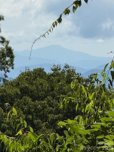0 Sleepy Hollow Dr, Waynesville, NC 28785