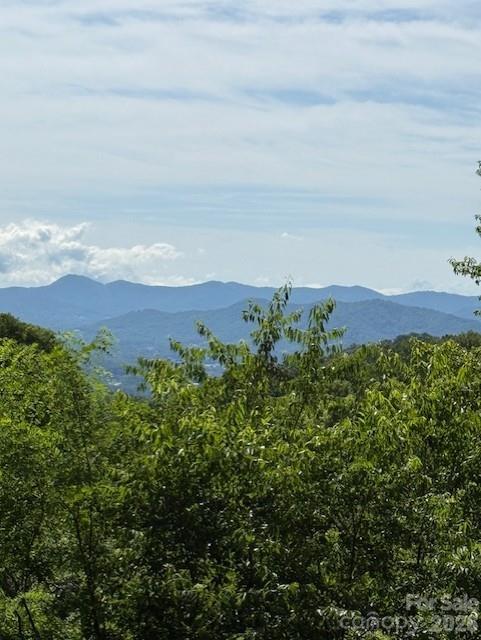 0 Sleepy Hollow Dr, Waynesville, NC 28785