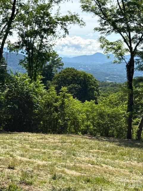 0 Sleepy Hollow Dr, Waynesville, NC 28785