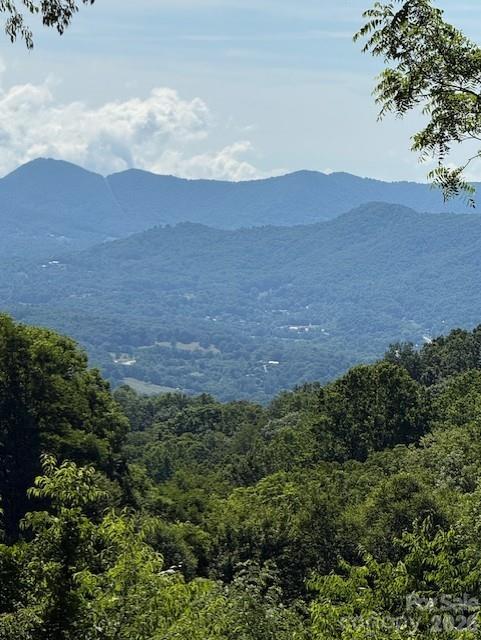 0 Sleepy Hollow Dr, Waynesville, NC 28785