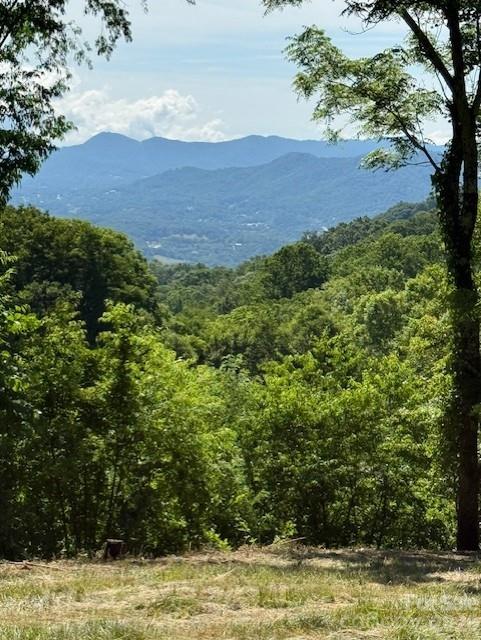 0 Sleepy Hollow Dr, Waynesville, NC 28785