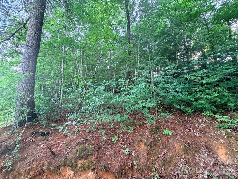 Silverglen Way #53, Hendersonville, NC 28792
