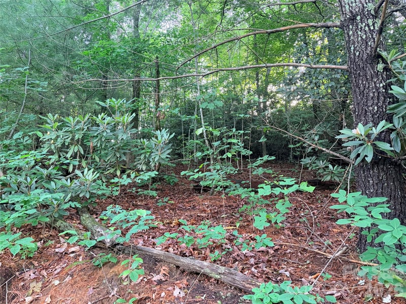 Silverglen Way #53, Hendersonville, NC 28792
