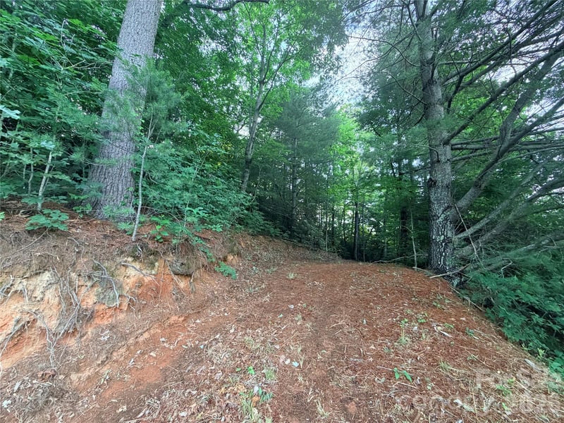 Silverglen Way #53, Hendersonville, NC 28792