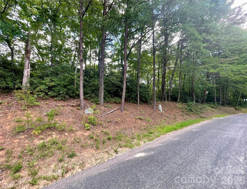 282 Quail Ridge Rd, Lake Lure, NC 28746