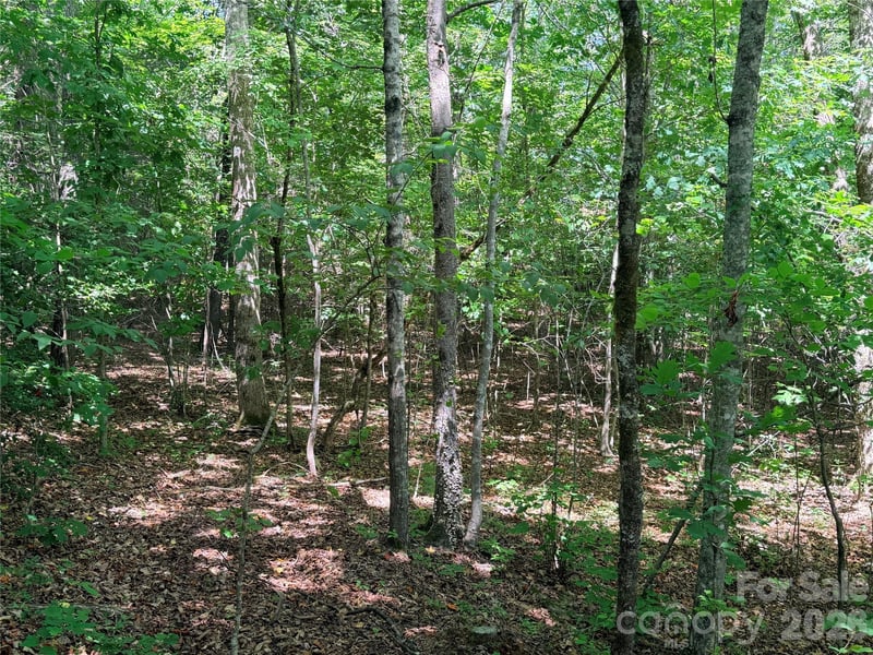00 Grassy Knob Rd #5, Mill Spring, NC 28756