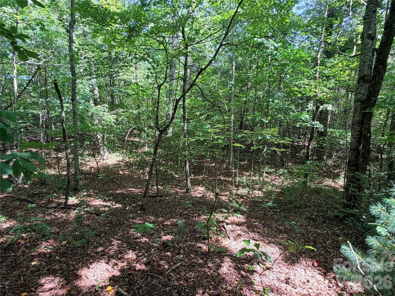 00 Grassy Knob Rd #5, Mill Spring, NC 28756