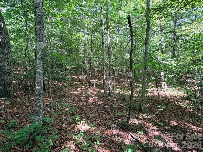 00 Grassy Knob Rd #5, Mill Spring, NC 28756