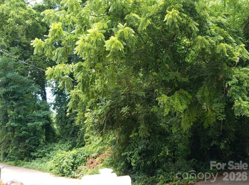 000 Ann Dr #170, Belmont, NC 28012