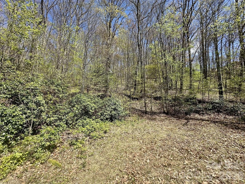 00 Aquina Mountain #H, Maggie Valley, NC 28751