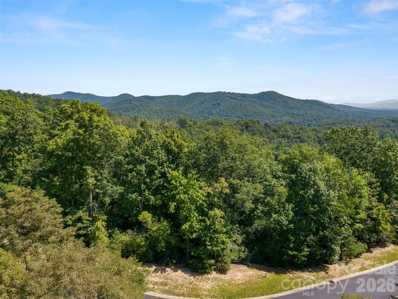 99999 Shining Rock Pa #69, Horse Shoe, NC 28742