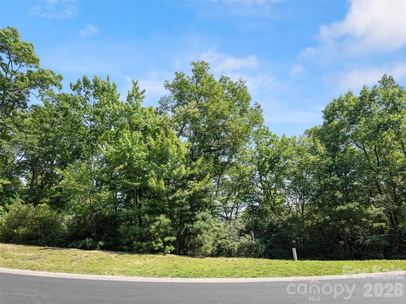 99999 Shining Rock Pa #69, Horse Shoe, NC 28742