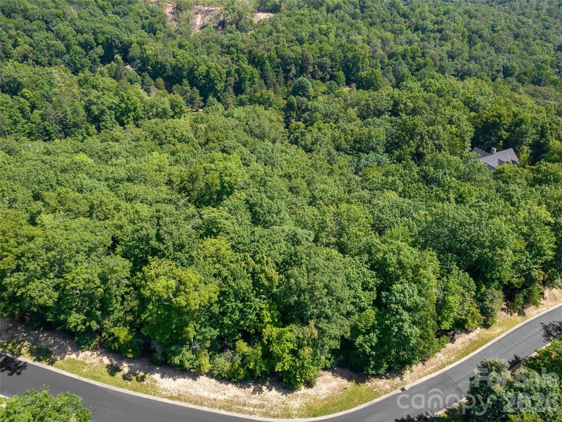 99999 Shining Rock Pa #69, Horse Shoe, NC 28742