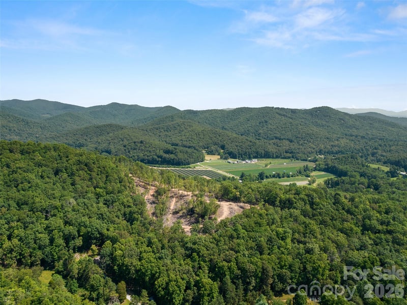 99999 Shining Rock Pa #69, Horse Shoe, NC 28742