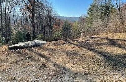 52 Lemongrass Trl, Hendersonville, NC 28791