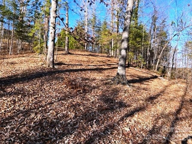 Lot 17-4 Coast Dr, Mill Spring, NC 28756