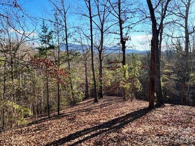 Lot 17-4 Coast Dr, Mill Spring, NC 28756