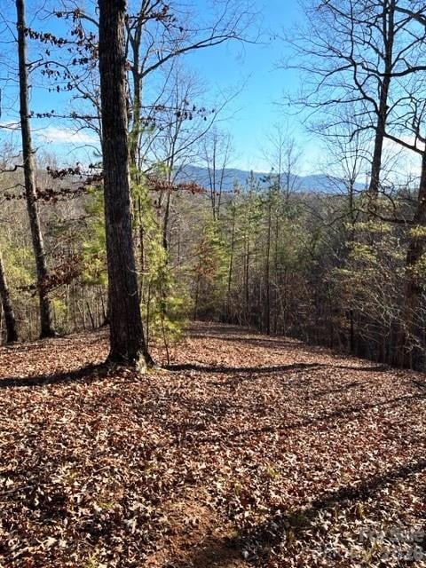 Lot 17-4 Coast Dr, Mill Spring, NC 28756