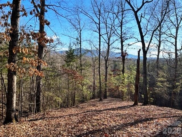 Lot 17-4 Coast Dr, Mill Spring, NC 28756