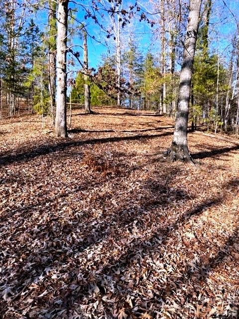 Lot 17-4 Coast Dr, Mill Spring, NC 28756