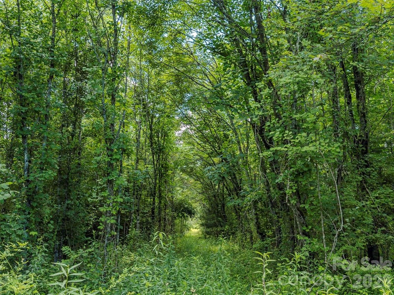 TBD Canebrake Rd, Pisgah Forest, NC 28768