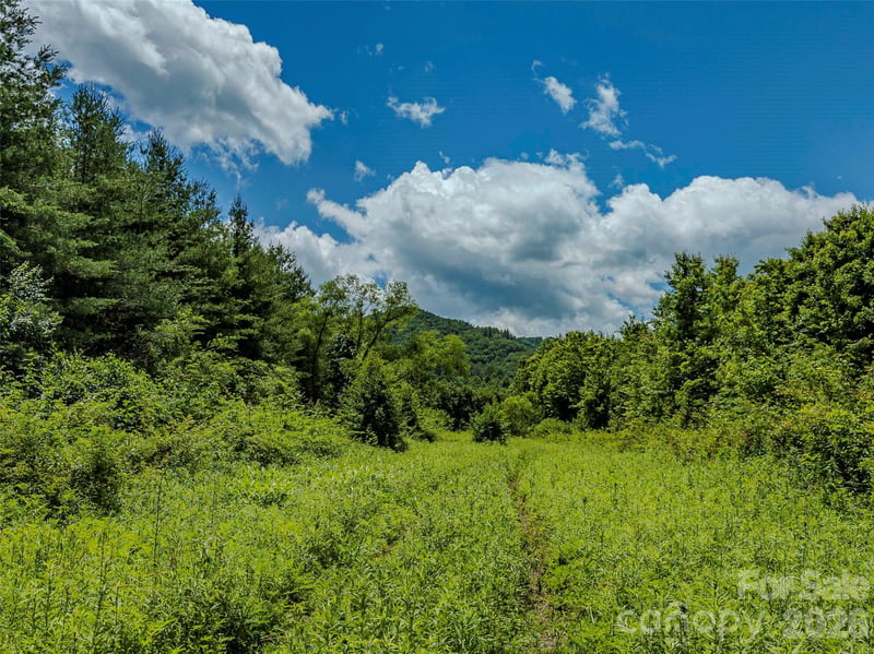 TBD Canebrake Rd, Pisgah Forest, NC 28768