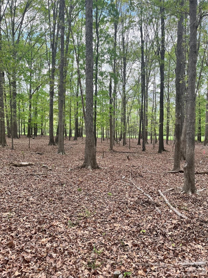 001 Wolf Pond Rd, Monroe, NC 28112