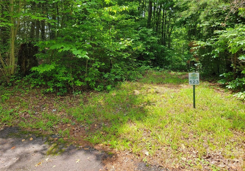TBD Bear River Lodge Rd #123, Marshall, NC 28753