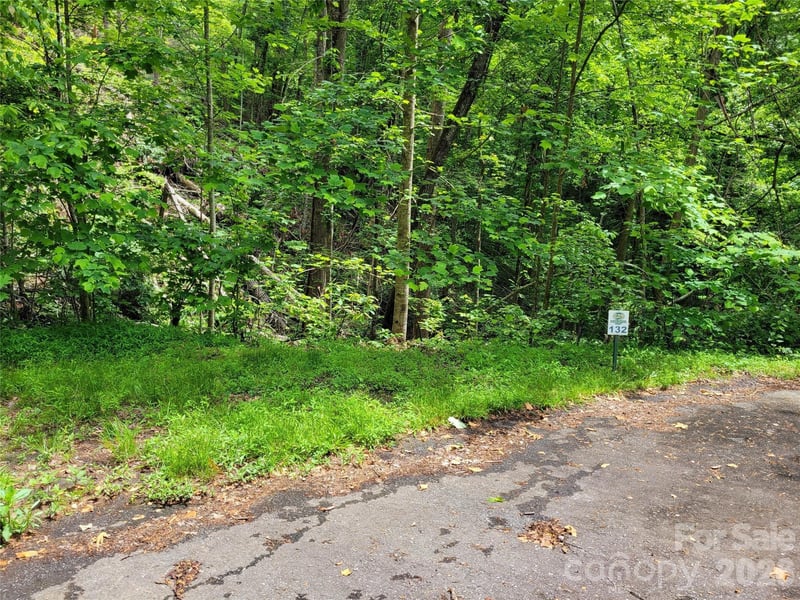 TBD Bear River Lodge Rd #123, Marshall, NC 28753