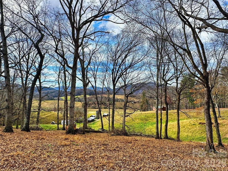 99999 Rabbit Ham Rd, Leicester, NC 28748