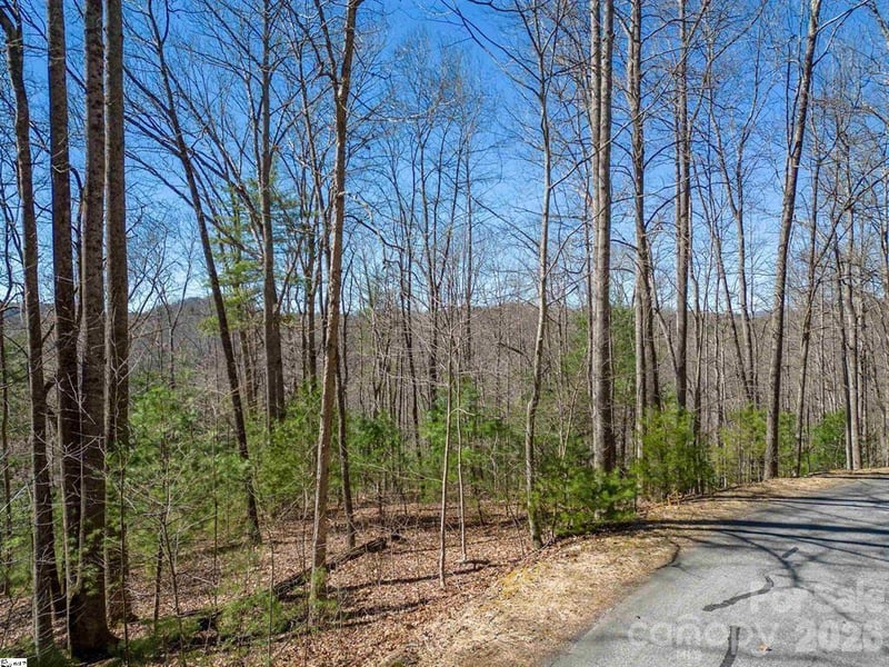 132 Overlook Park Dr #51, Hendersonville, NC 28792