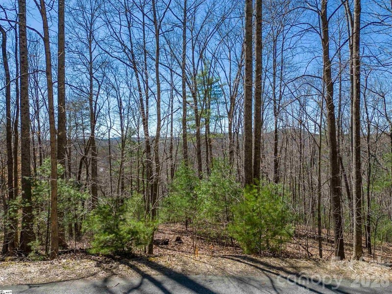 132 Overlook Park Dr #51, Hendersonville, NC 28792