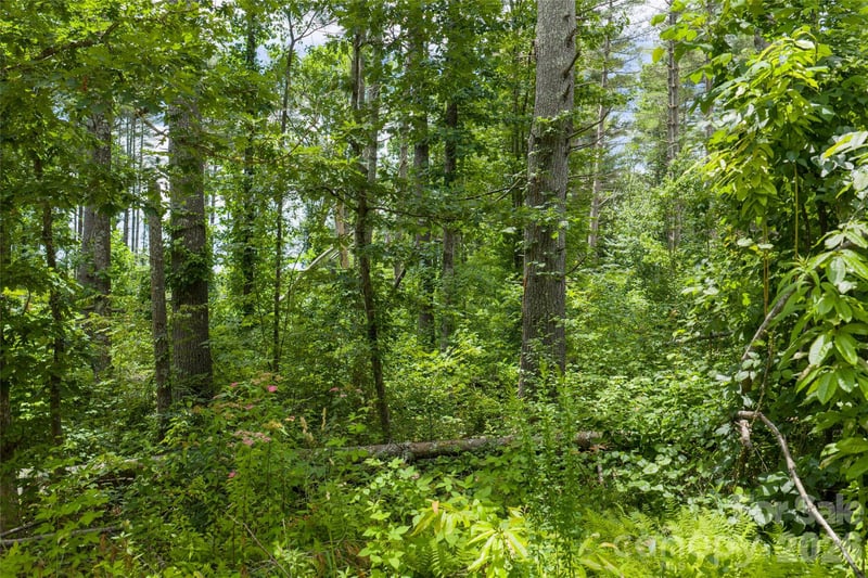 4 Dunnwoody Dr, Arden, NC 28704