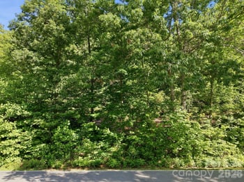 9999 Old Fort Rd, Black Mountain, NC 28711