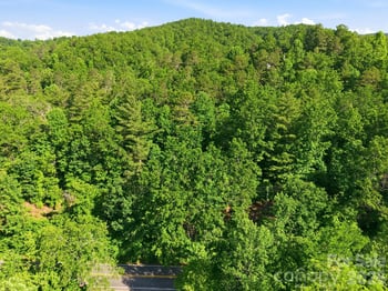 9999 Old Fort Rd, Black Mountain, NC 28711
