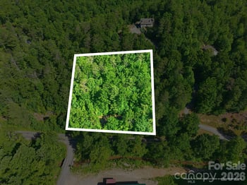 9999 Old Fort Rd, Black Mountain, NC 28711