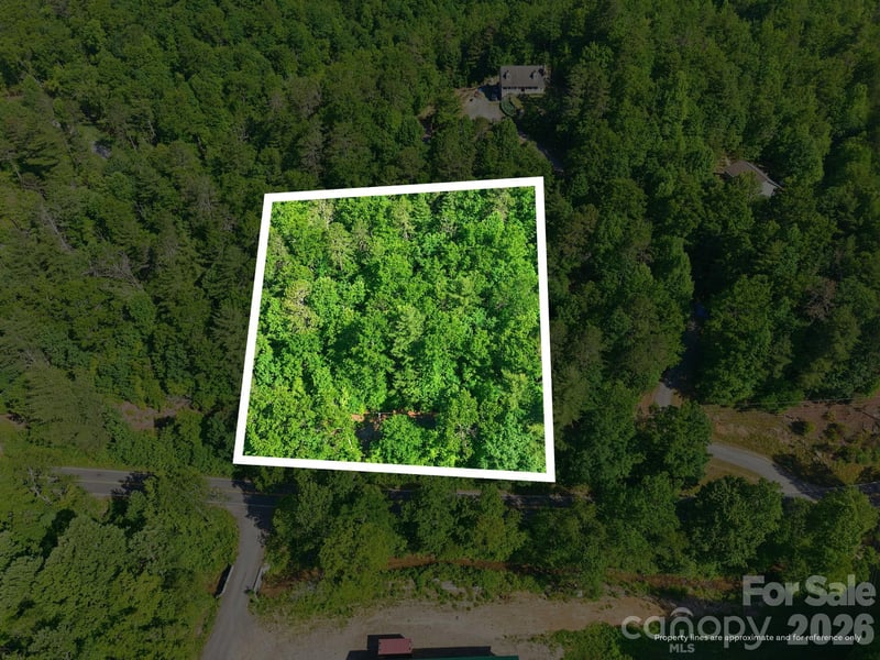 9999 Old Fort Rd, Black Mountain, NC 28711