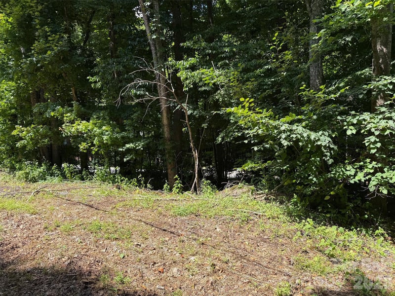 Serenity Mountain Rd #108, Waynesville, NC 28786