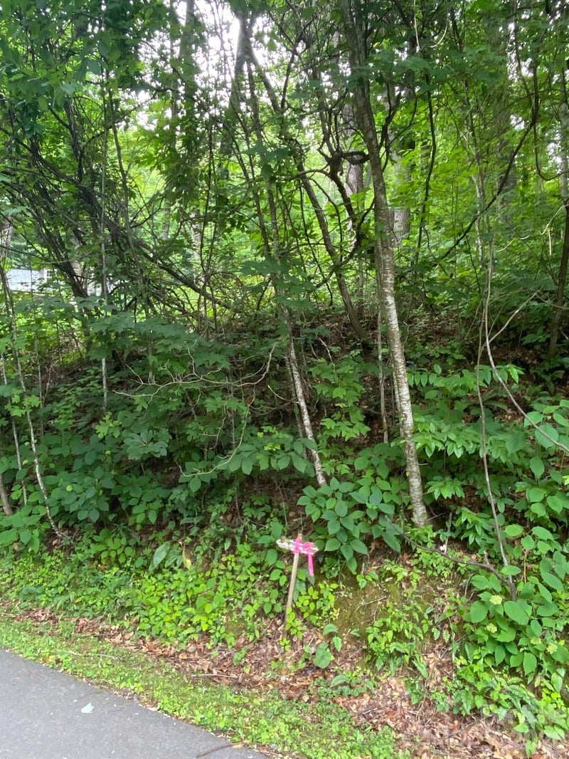 00 Aaron Way #21, Waynesville, NC 28786