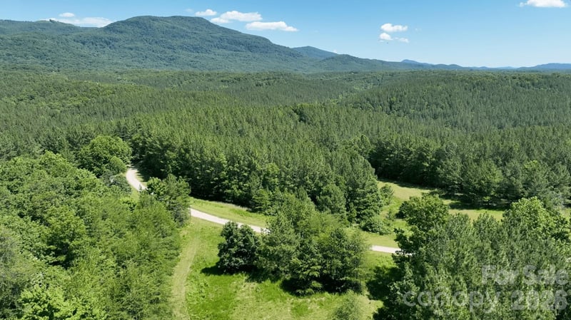 1194 Palmer Rd, Mill Spring, NC 28756