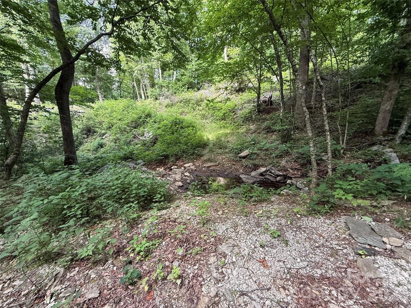 64 Clay View Dr, Fairview, NC 28730