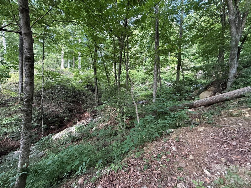 64 Clay View Dr, Fairview, NC 28730