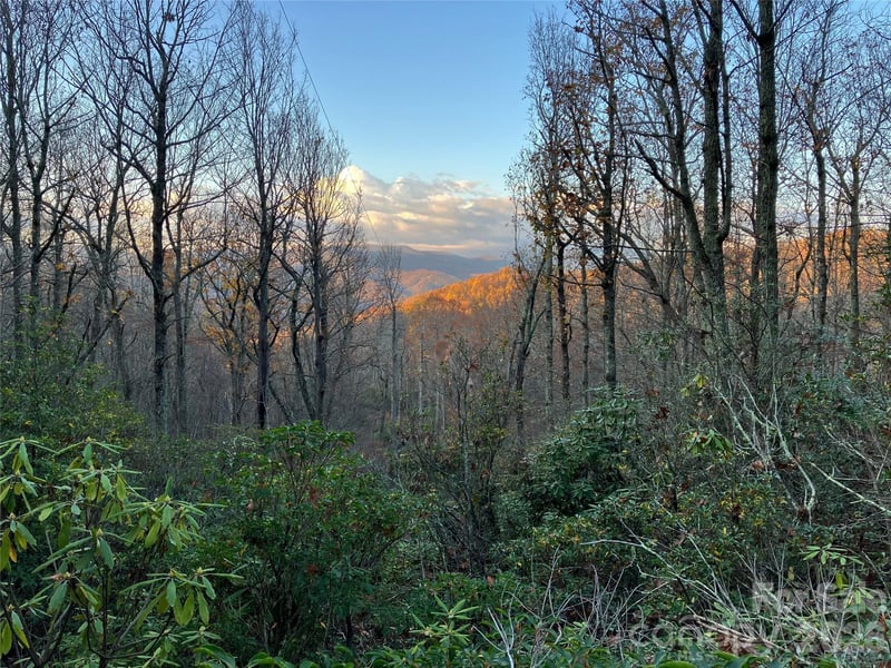 64 Clay View Dr, Fairview, NC 28730