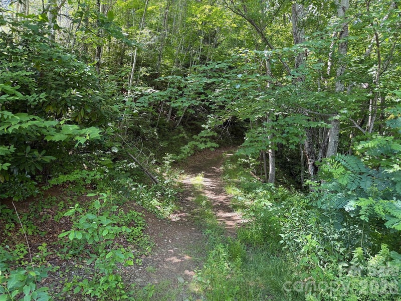 00 Rising Sun Rd #338, Waynesville, NC 28786