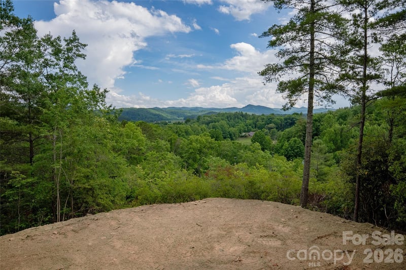 TBD Cherryfield Loop Rd, Brevard, NC 28712