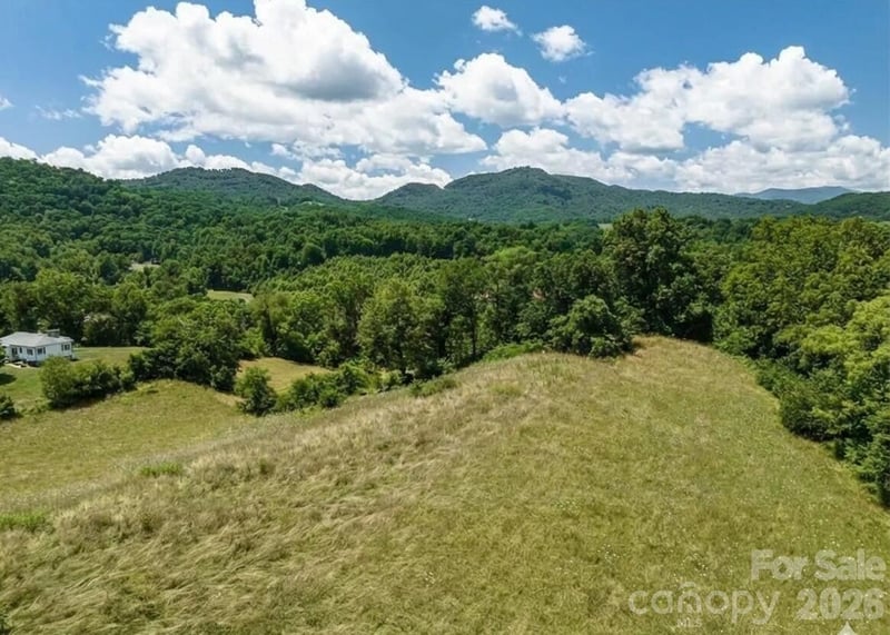 37 Amber Ln, Clyde, NC 28721