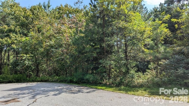 14 Spring Hollow Rd, Lake Lure, NC 28746