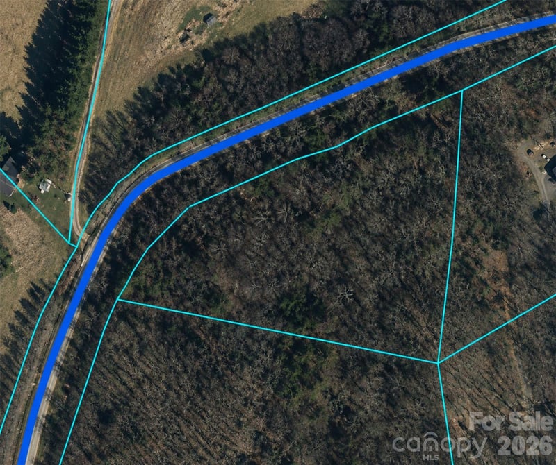 Clarks Branch Rd, Leicester, NC 28748