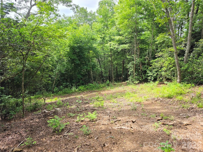 9999 Fairview Forest Dr, Fairview, NC 28730