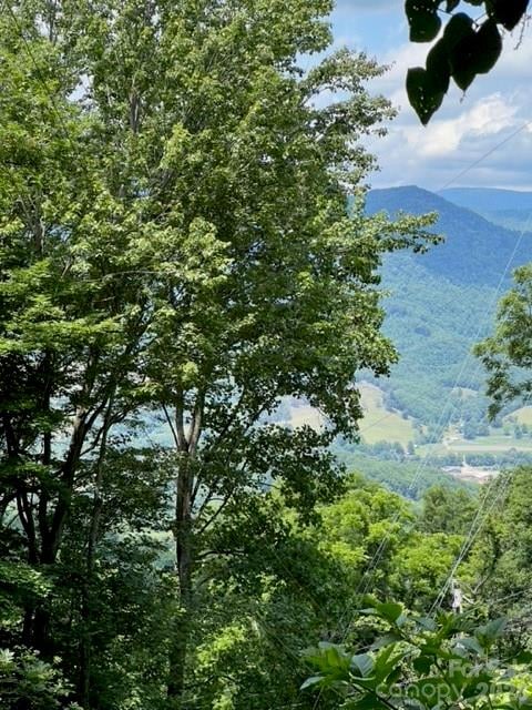 00 Utah Mountain Rd, Waynesville, NC 28785